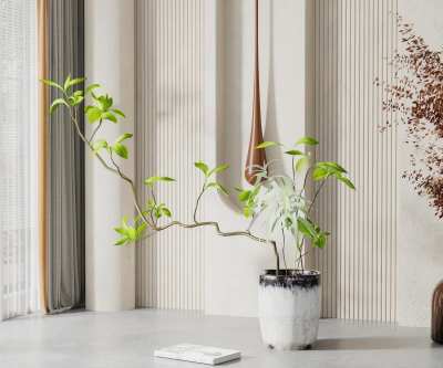 绿植盆栽3D模型下载